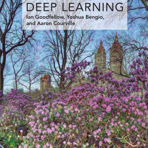 Deep Learning (Adaptive Computation and Machine Learning Series) 1st Edition