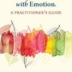Changing Emotion With Emotion 1st Edition
