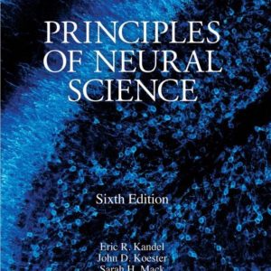 Principles of Neural Science 6th Edition