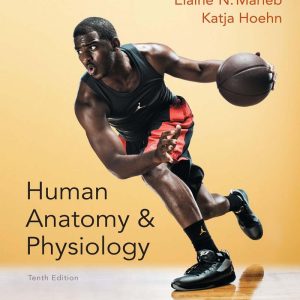 Human Anatomy & Physiology 10th Edition