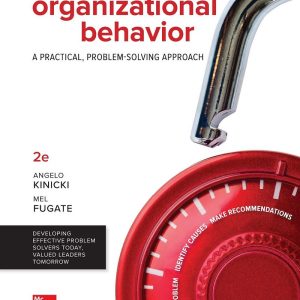 Organizational Behavior A Practical Problem-Solving Approach 2nd Edition